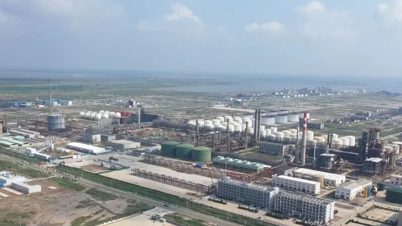 東營利津：“強基工程”優服務 項目建設加速度